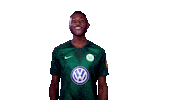 france lol Sticker by VfL Wolfsburg