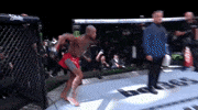 Explode Mixed Martial Arts GIF by UFC