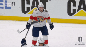 Happy Stanley Cup Playoffs GIF by NHL
