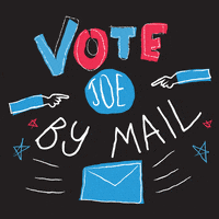 creative-courage trump 2020 vote election GIF