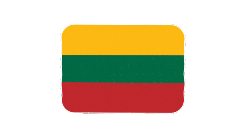 Flag Lithuania Sticker by EmojiVid