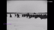 Civil War Film GIF by euronews