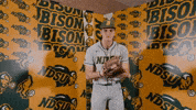 Baseball Bison GIF by NDSU Athletics