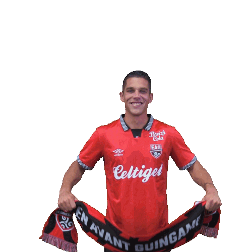 Ligue 2 Sticker by EA Guingamp