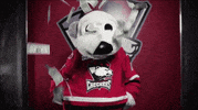 dance hockey GIF by Charlotte Checkers