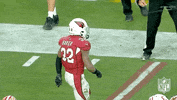 Regular Season Football GIF by NFL