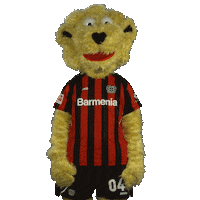 Good Morning Hello Sticker by Bayer 04 Leverkusen