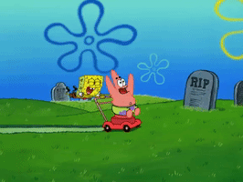 season 7 the curse of bikini bottom GIF by SpongeBob SquarePants