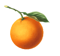 Orange Juice Art Sticker by Rich