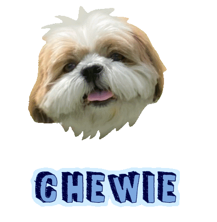 Dog Chewie Sticker