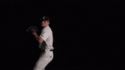 University Of Louisville Baseball GIF by Louisville Cardinals