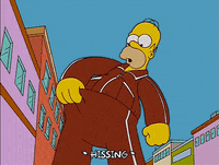 homer simpson GIF