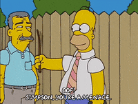 homer simpson GIF