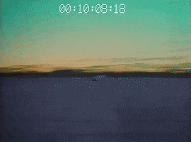 Knight Rider Vhs GIF