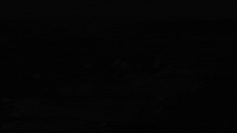 Road Home For Sale GIF by Atlantic Sotheby's International Realty