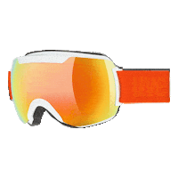 Silvretta Montafon Winter Sticker by uvex group