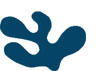 Marine Life Illustration Sticker by stasherbag