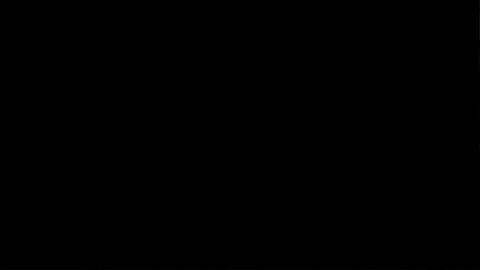 Sinterklaas GIF by Vandaag Inside