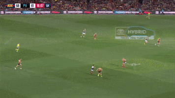 round 20 afl GIF by Adelaide Crows