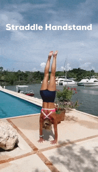 Workout Handstand GIF by Home and Gym