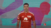 Union Berlin Love GIF by Bundesliga
