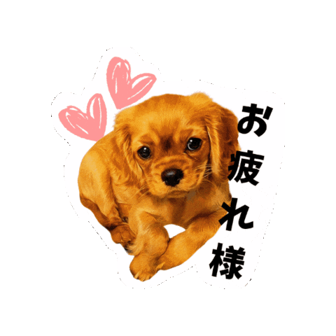 Cavalierkingcharlesspaniel Love Sticker