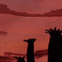 Mood Usa GIF by kiin.