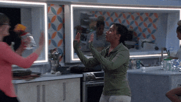 High Five Friends GIF by Big Brother
