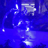 1743 GIF by Cómpralo en Casa