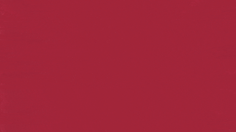 Charroslmb2025 GIF by Charros de Jalisco