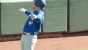 Blue Jays Baseball GIF by Toronto Blue Jays