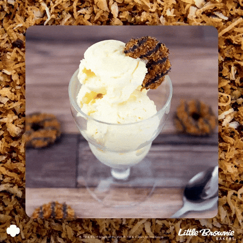 GIF by Little Brownie Bakers