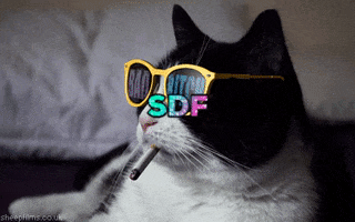 GIF by plusQA_test_partner