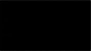 GIF by The Way I See It
