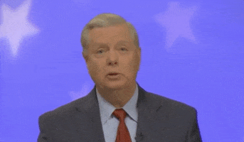 Lindsey Graham GIF by Election 2020