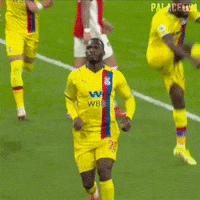Celebrate Premier League GIF by CPFC
