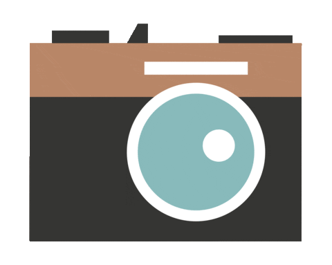 myphotobookde giphyupload animation summer sticker Sticker