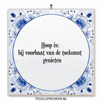 Hoop Nl GIF by Tegelspreuken.nl