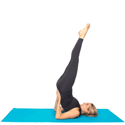 St Louis Stl Sticker by Boom Pilates