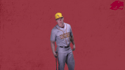 baseball GIF
