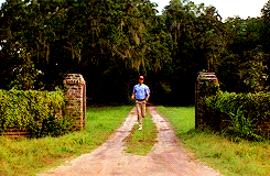 Movie gif. A determined Tom Hanks as Forrest Gump runs out of his family’s property, onto the road.
