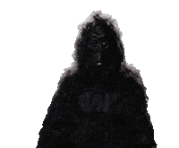 gorilla Sticker by Arturo Castro