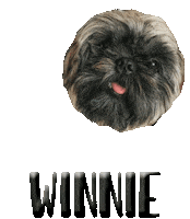 Dog Winnie Sticker