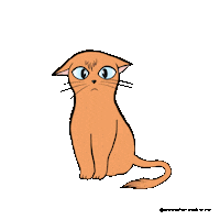 marianahumeniuk cat sad cry kitten Sticker