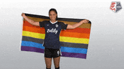 nwsl soccer rainbow pride nwsl GIF