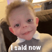 Icc GIF by impactcollision