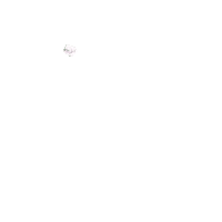 dicbn cbnfiber cbngif nessi dicbn Sticker