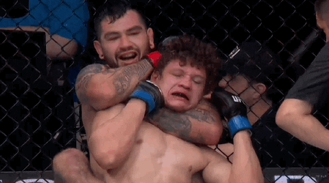 Wrestle Mixed Martial Arts GIF by UFC