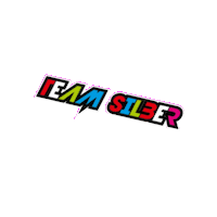 Teamsilber Sticker by HMKO