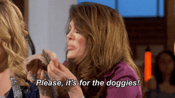 masterchef fox masterchef foxtv gordon ramsay GIF